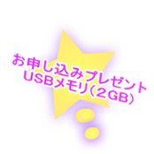 \݃v[g USBiQGB) 